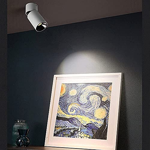 Plafonnier LED spot réglable et projecteurs directionnels indoor downlight W - 4
