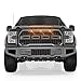 SUNPIE 15-17 F150 Grill Raptor-Style Front Bumper Gray Grille for F150 2015/2016/2017 (F&R LETTERS NOT INCLUDED)