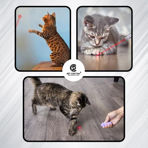 Image of Cat Laser Toy for Indoor Cats | 3-in-1 Interactive Laser Pointer | USB Rechargeable | Multi-Pattern Light Modes | Portable Pet Exercise Toy with Health Check Light