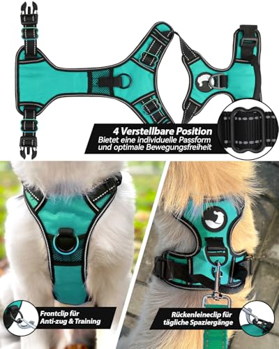 Joytale Hundegeschirr mittelgroße Hunde, reflektierendes Geschirr Hund,luftdurchlässige Hundegeschirr, verstellbares Brustgeschirr mit Griff beim Führen und Training, Türkis, M