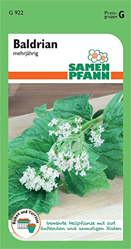 Samen Pfann G922 Valeriana (semillas de valeriana)