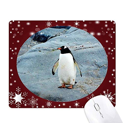Tapis de souris flocon de neige et design pingouin de l'océan antarctique