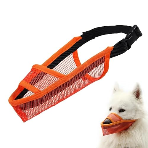 MUYYIKA   p}Y bV}XN EH h~ h~ ݖh~ (IW L)