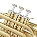 Ashthorpe Bb Brass Pocket Trumpet with Gold Lacquer Finish - Includes Case, Mouthpiece, Gloves, Cleaning Cloth, Valve Oil