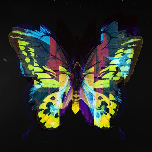  Butterfly Specimen
