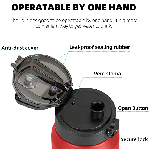 Image of Fanhaw 24oz Insulated Water Bottle with Anti-dust Chug Lid, Red