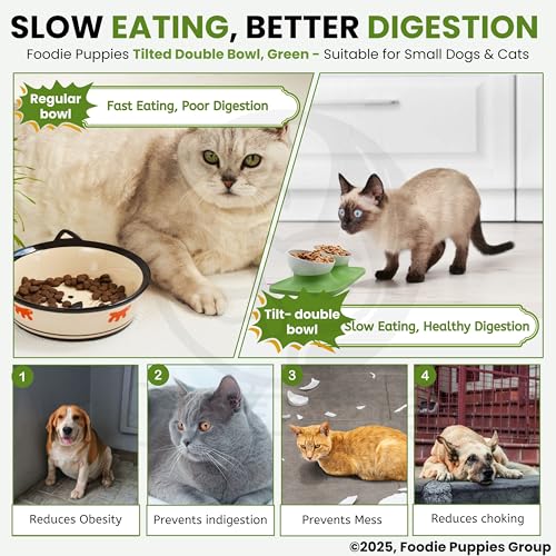 Image of Foodie Puppies Cat Food Bowl with Stand - (Green, 500ml Each) Double Food and Water Drinking Feeder Bowl with Non-Skid Base and Easy-to-Clean Design | Suitable for Cats, Puppies and Small Dogs