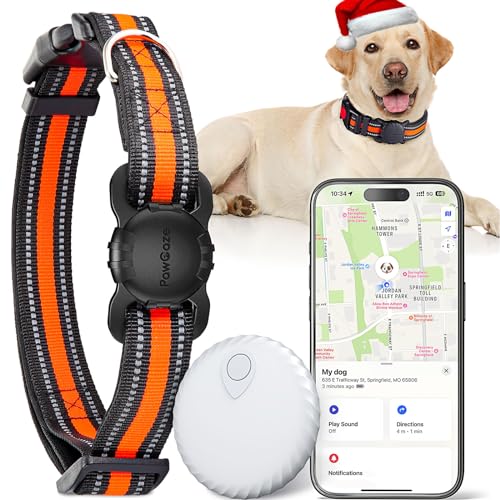 Dog Tracker Collar De 15 beste producten vergeleken Your Motor Guide