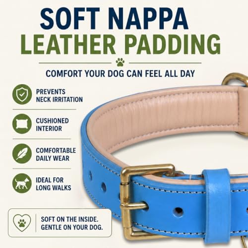 View 5