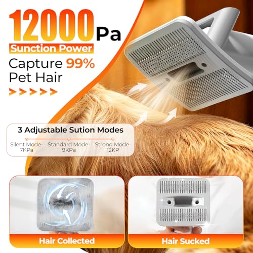 Image of FIXR Dog Grooming Kit with Vacuum - 12,000Pa Suction Electric Clipper + Guide Combs + Shedding Brush + Crevice & Cleaning Tools, 2L Dustbin, 50dB Quiet Motor for Dogs & Cats, Blue