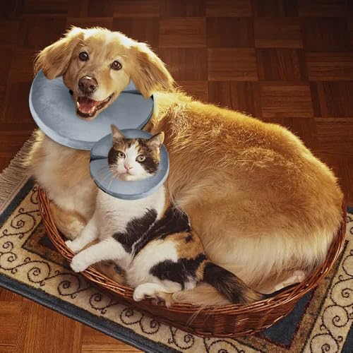 YZROHYI Aufblasbare Halskrause Hund Schutzkragen,Hundekragen Leckschutz,Katzenkragen,Einstellbarer Halskrause Katze,Kragen für Hund Nach Op,Wiederherstellung Halsband Weich Kragen für Welpen-M