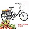 20 Inch Adult Tricycle for Seniors Bicycle 8 Gears 3 Wheel Tricycle Bicycles Cruise Tricycle Trike for Adult and Seniors #1