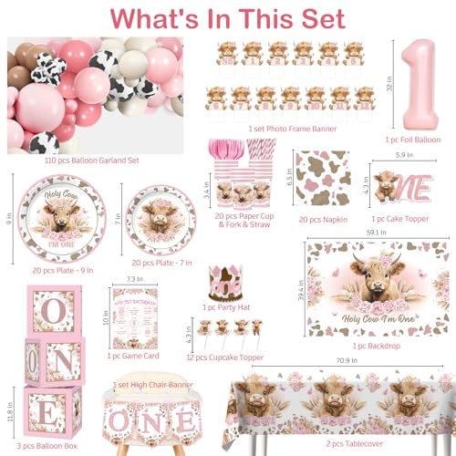 Image of cocomigo 254pcs Holy Cow I'm One Birthday Decorations Party Set, 20 Guests