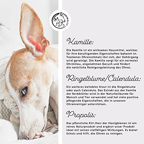 Annimally Ohrenreiniger Hund und Katze 250ml Ohrreiniger mit Kamille, Ringelblume und Propolis - Hunde Ohrenreiniger auch für Katze, Pferd und Kleintier Ohren - Schonende Ohrreiniger für Hunde