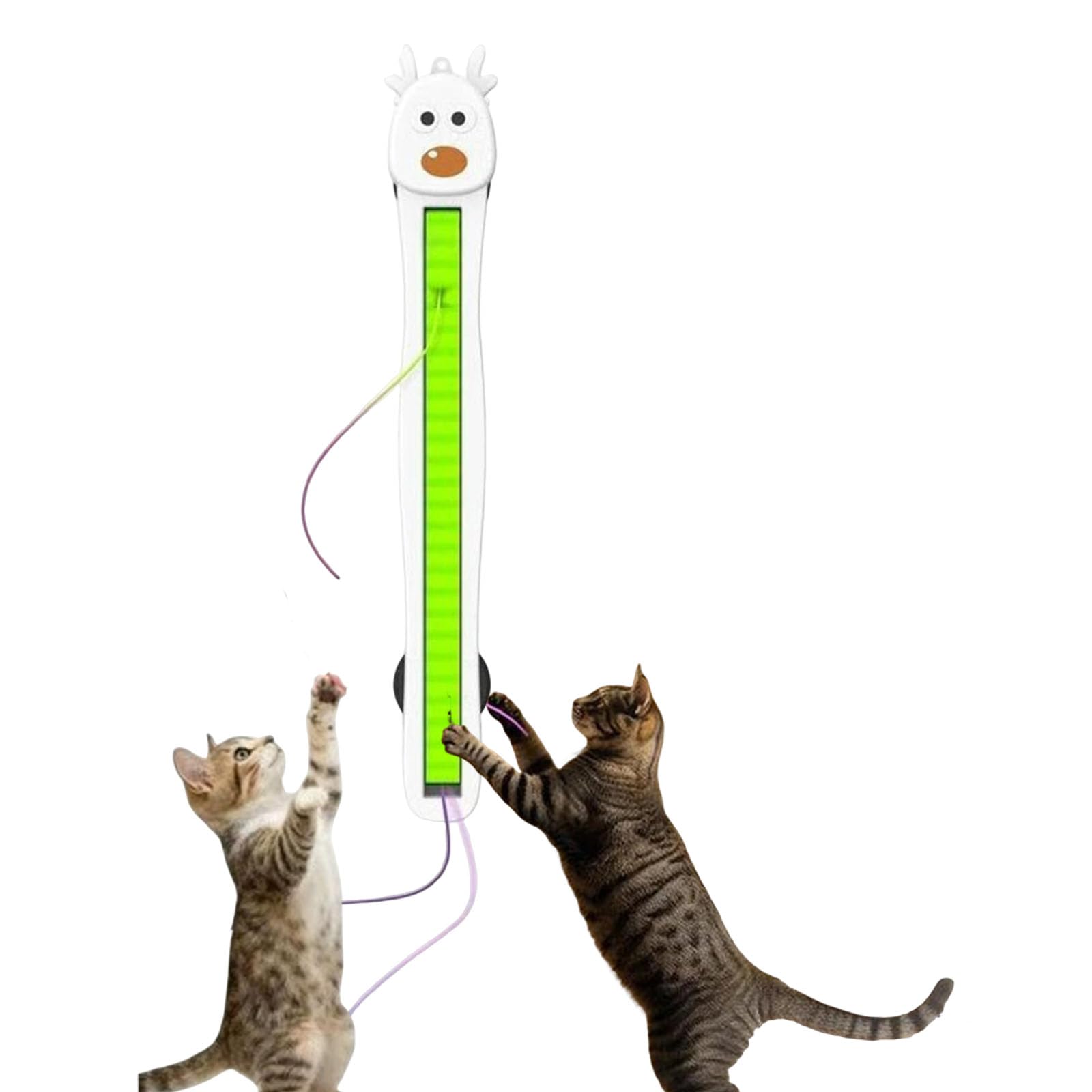 Jouet pour chat à corde volante automatique contre l'ennui