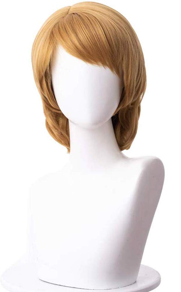 Amazon.co.jp: ABUNDANTDOODS コスプレウィッグ フルウィッグ 雪の女王  