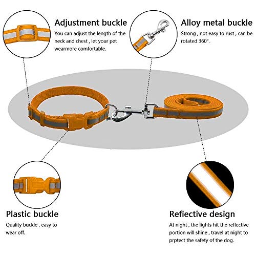 Image of The Pets Company Reflective Leash Collar Set for Medium Dogs, 4 Feet 20 MM, Orange