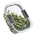 Rubbermaid Brilliance Food Storage Salad Container, Medium Deep, 4.7 Cup, Clear
