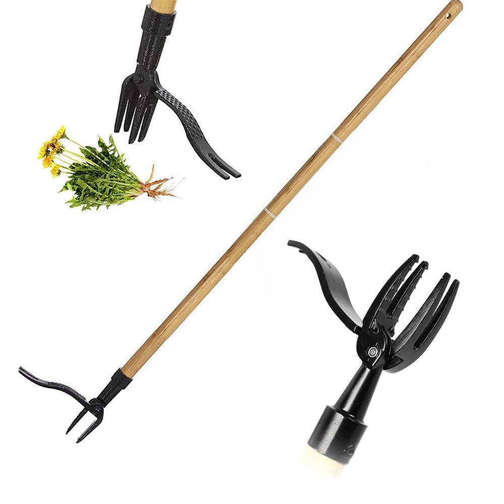 Zorkkra Long Handle Weed Puller with 4-Claw Steel Head, Stand Up Weeder Tool for Dandelion Root Removal, Adjustable 3-Section Wooden Handle Garden Weeding Tool, Lawn Weed Extractor (B)