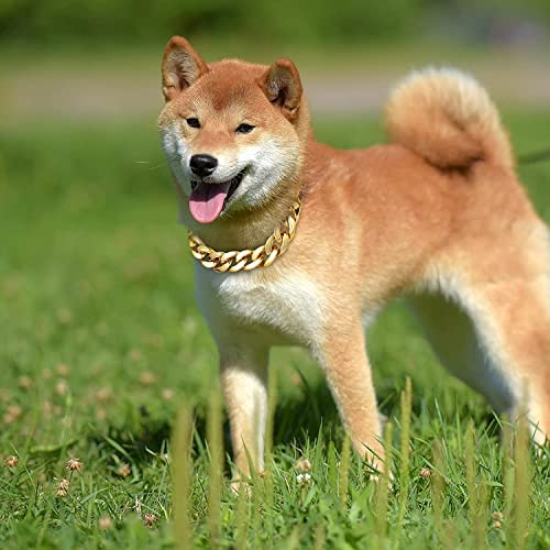 Nicoone Collana in oro per cani, in plastica ABS