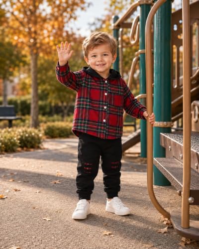 Image of Renotemy Toddler Baby Boy Clothes Winter Hoodie Flannel Boys Outfits 12M-4T