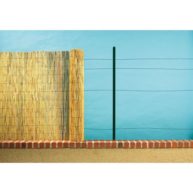 RETELANDIA - Arella Canniccio Bamboo Naturale Economy per Recinzioni, Balconi, Terrazzi, Protezione Privacy, h m 1.5x5