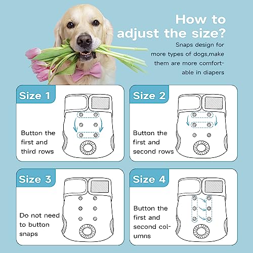 Image of Paw Legend Washable Reusable Female Dog Period Diapers for Heat Doggie Puppy Diapers for Female Dogs (3 Pack, X-Small)