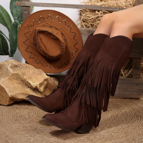 Image of Cowgirl Boots for Women Retro Pointed Toe Pull On Block Chunky Heel Embroide Tassel Country Concert Outfits Mid Calf Western Fringe Cowboy Boots
