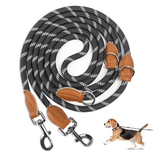 Hundetraining Mit Der Schleppleine