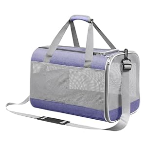 Cinnani Hunde Transporttasche Umhängetasche DB1 Lila