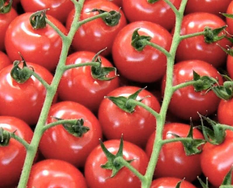 2026 EarlyBird-Heirloom Cherry Tomato Seeds for Planting Vegetables and Fruits.Vegetable Seed for Planting Home Garden Seeds.Hydroponic Seeds-30 Large Red Cherry Tomatoes Vegetable Seeds