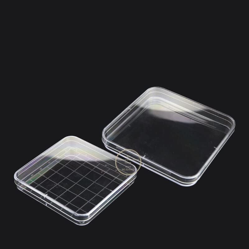 10 unids/Lote de Placas de Petri estériles de plástico, Plato de Cultivo de bacterias for Suministros Escolares científicos biológicos de Laboratorio (Size : 100x100mm Square)