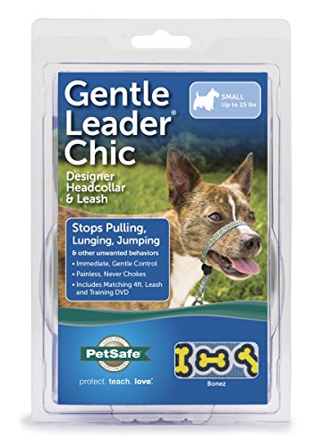 PetSafe Chic Gentle Leader Headcollar, No-Pull Dog Collar – Perfect for Leash & Harness Training – Stops Pets from Pulling and Choking on Walks – Small, Bonez
