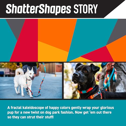 Wolfgang Premium Leash for Small Medium Large Dogs, Made in USA, ShatterShapes Print, Small (5/8 Inch x 4 Feet) by Wolfgang Man & Beast - Used condition - Image 2