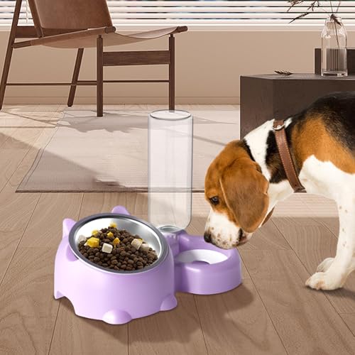 Gamelle pour chat inclinée double avec réservoir d'eau automatique - 3
