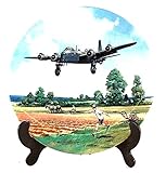 bradex wikipedia Royal Doulton Stirling Home Run Heroes of the Sky flache CP672