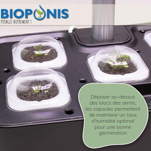 Bioponis - Keimkapseln, quadratisch, für Hydrokultur-Gemüsegarten, 20 Stück