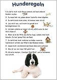 Merchandise for Fans Blechschild/Warnschild/Türschild - Aluminium - 20x30cm - - Hunderegeln - Motiv: Hund Landseer - 01