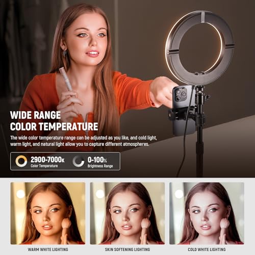 Image of NEEWER 12 inch 24W High Power Desk Ring Light with Stand /Phone Holder, LED Selfie Video Conference Lighting for iPhone Streaming Makeup Vlog Recording Laptop Computer Webcam Zoom Call Podcast, RH12B