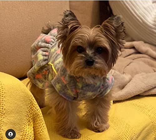 Pickorruchos Vestido Soft Neon Para Cães Cinza Com Neon Tamanho 06 Médio