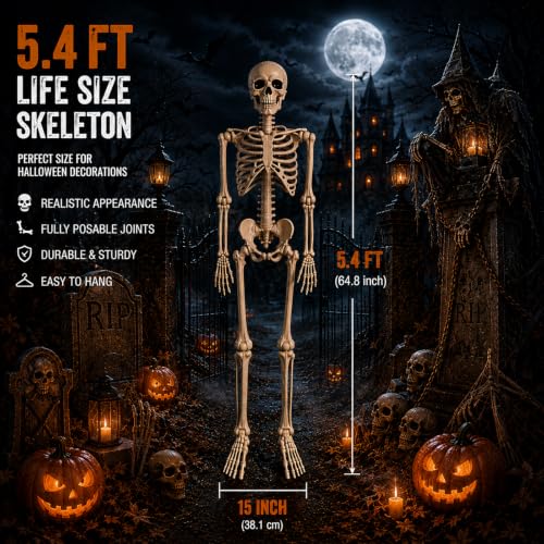 5.4 ft Posable Halloween Skeleton Decorations - image 2