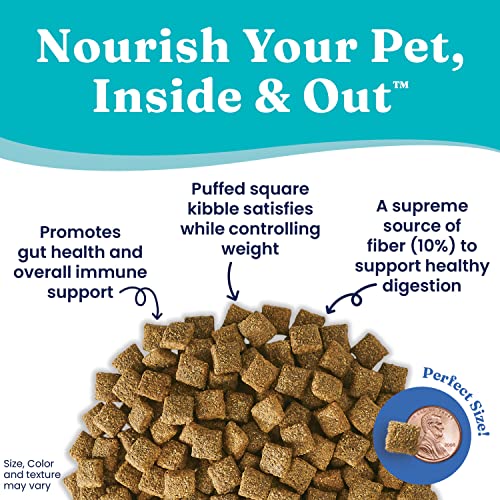 Solid Gold Fit And Fabulous Dog Food - Dry Dog Food For Weight Control - Digestive Probiotics For Dogs - Grain & Gluten Free - High Fiber & Low Fat - Omega, Superfood & Antioxidant Support #TOP2