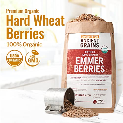 Grand Teton - Ancient Grains Emmer Wheat Berries, 100% Organic Berries, Premium Food-Grade Emmer Wheat Berries Organic, Farro for Milling, Sprouting, Baking, Salads, & Soups, 25 lbs