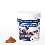 karl wohlrab maler 100% reines Pilzpulver - Cordyceps sinensis konv.