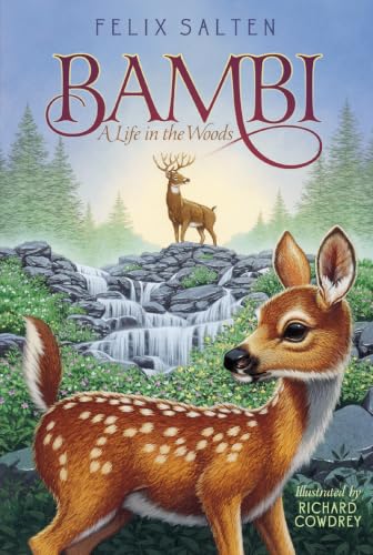 Bambi view 2