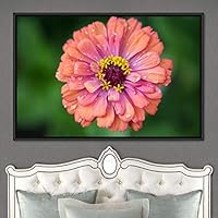 Framed Canvas Wall Art Flora Snapshot Closeup Dark Expressive Farmhouse/Country Floral Multicolor Photography Realism Single - 16x24 inches