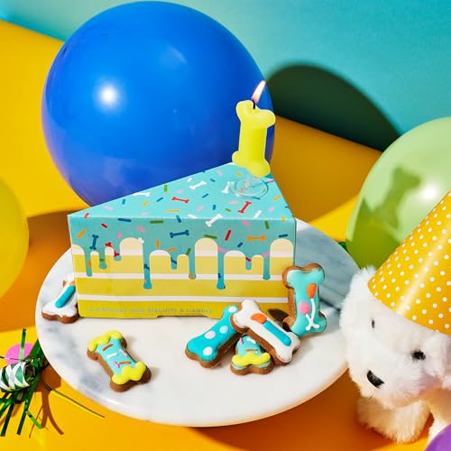 Image of Thoughtfully Pets, Dog Birthday Cake Mini Treats Gift Set, Includes 10 Ginger Flavored Mini Cookie Bones & Candle, Pet Celebration Treats for Puppy Parties or Gotcha Day
