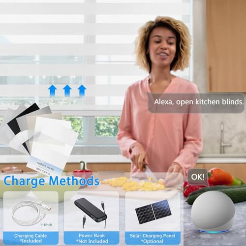 Image of Motorized Zebra Blinds Custom Size Smart Dual Layer Shades for Windows with Remote | Assembled in USA | Electric Day and Night Privacy Light Filtering Rechargeable Quiet Motor Window Shades