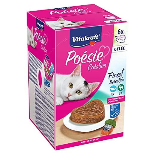 Vitakraft - Poésie Gelée, Pack de Menús de Gelatina para Gatos, Variedades Salmón y Carne de Caza - 6 unidades x 85 g