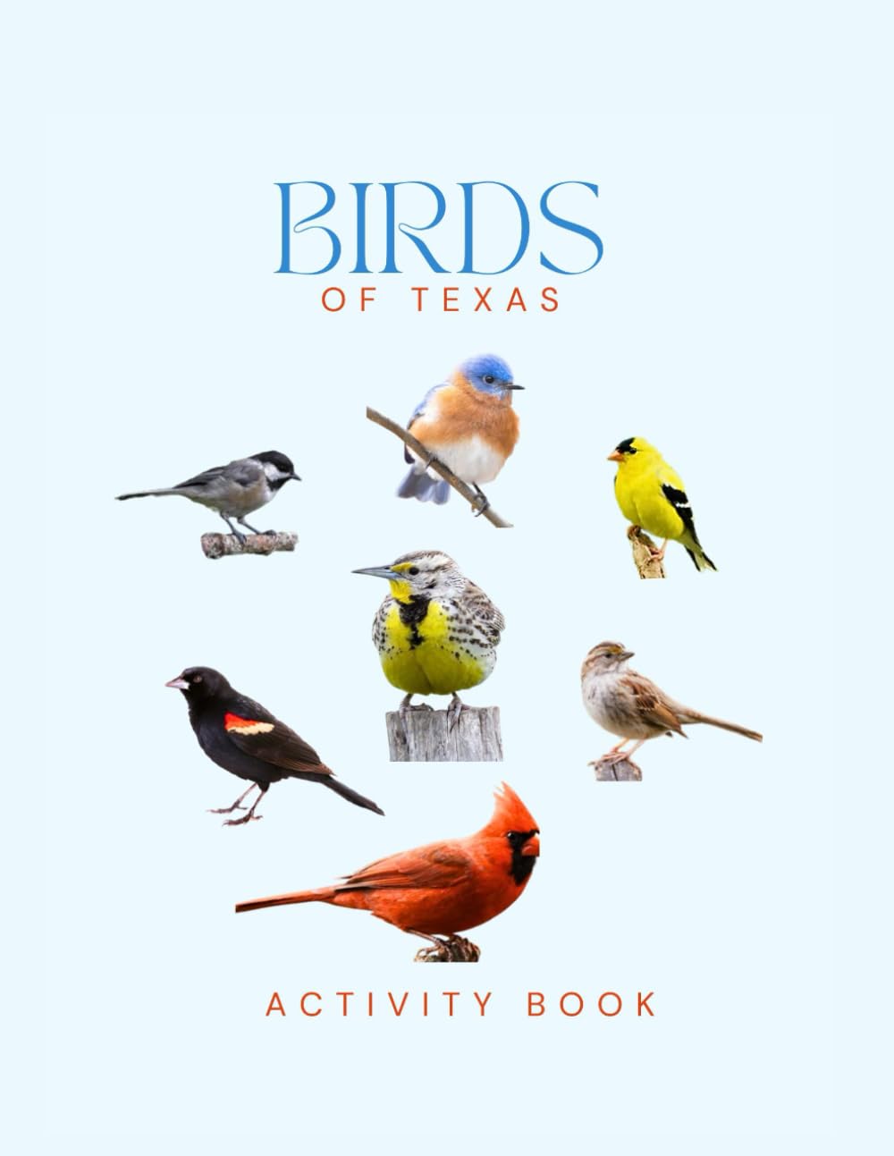 Birds of Texas Activity Book: A Young Explorer's Field Guide to the Backyard Birds of the Lone Star State (Texas Nature Explorer Series)
